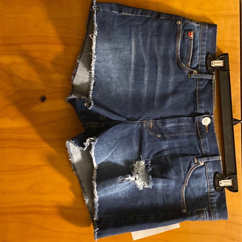 Hudson Denim Amber Shorts